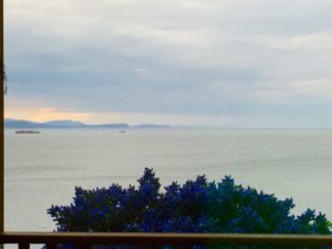 IMG_7125 (1)